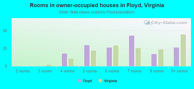 Rooms in owner-occupied houses in Floyd, Virginia