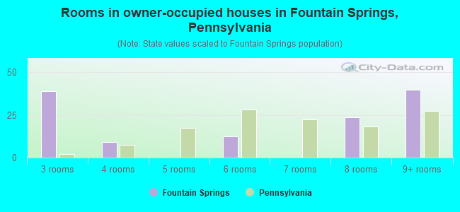 Rooms in owner-occupied houses in Fountain Springs, Pennsylvania