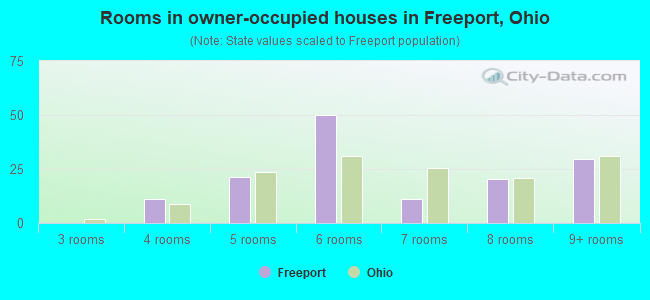 Rooms in owner-occupied houses in Freeport, Ohio