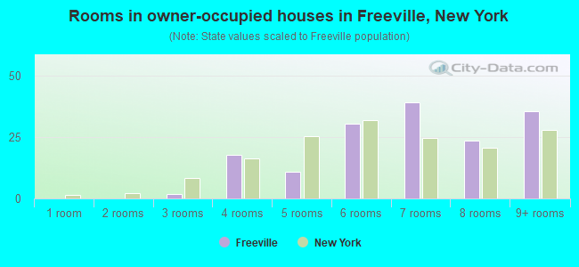 Rooms in owner-occupied houses in Freeville, New York