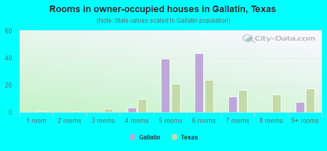 Rooms in owner-occupied houses in Gallatin, Texas