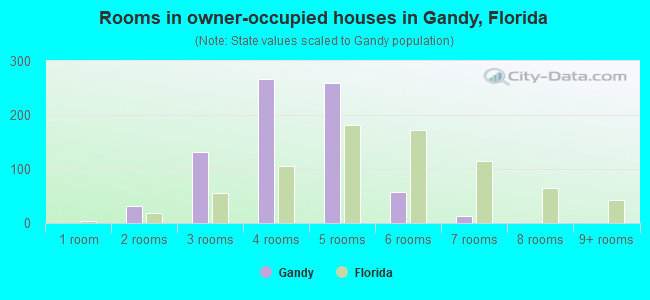 Rooms in owner-occupied houses in Gandy, Florida
