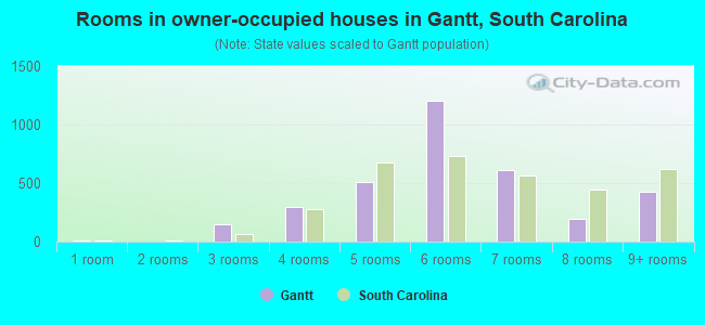 Rooms in owner-occupied houses in Gantt, South Carolina