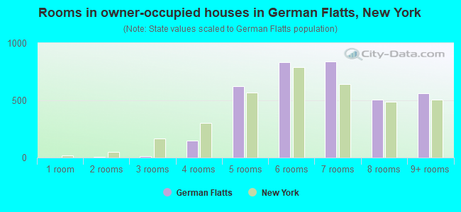 Rooms in owner-occupied houses in German Flatts, New York