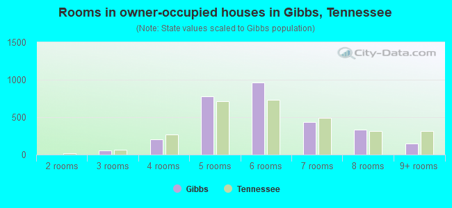 Rooms in owner-occupied houses in Gibbs, Tennessee