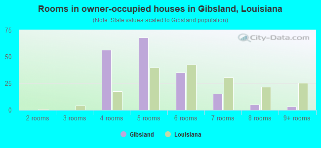 Rooms in owner-occupied houses in Gibsland, Louisiana