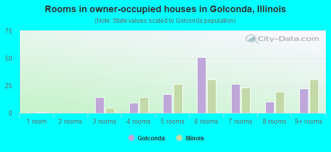 Rooms in owner-occupied houses in Golconda, Illinois