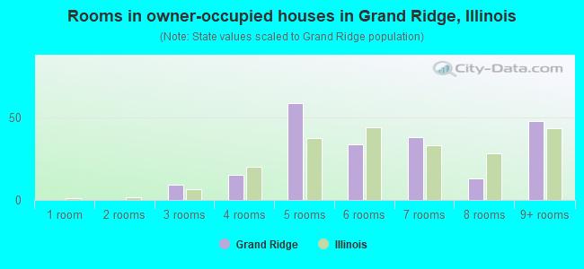 Rooms in owner-occupied houses in Grand Ridge, Illinois