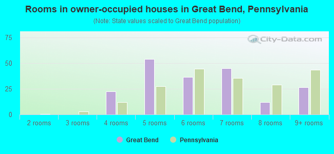 Rooms in owner-occupied houses in Great Bend, Pennsylvania