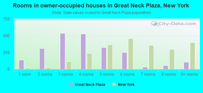 Rooms in owner-occupied houses in Great Neck Plaza, New York