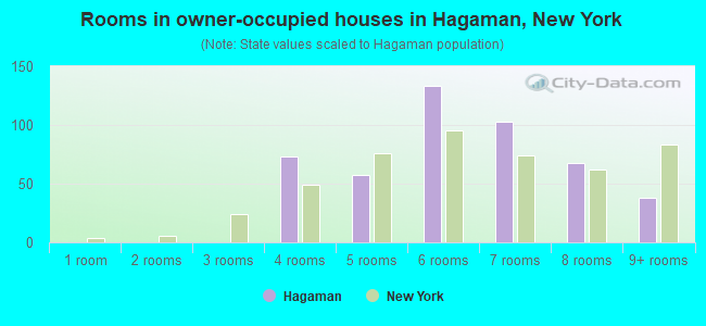 Rooms in owner-occupied houses in Hagaman, New York