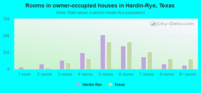 Rooms in owner-occupied houses in Hardin-Rye, Texas