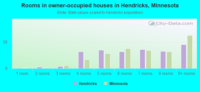 Rooms in owner-occupied houses in Hendricks, Minnesota