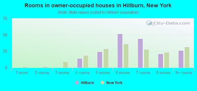 Rooms in owner-occupied houses in Hillburn, New York