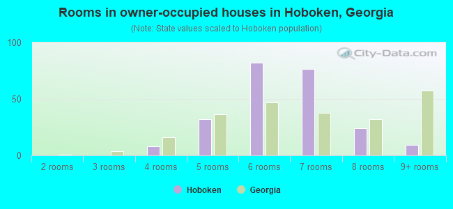 Rooms in owner-occupied houses in Hoboken, Georgia