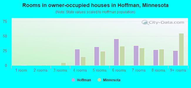 Rooms in owner-occupied houses in Hoffman, Minnesota