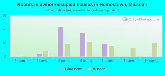 Rooms in owner-occupied houses in Homestown, Missouri