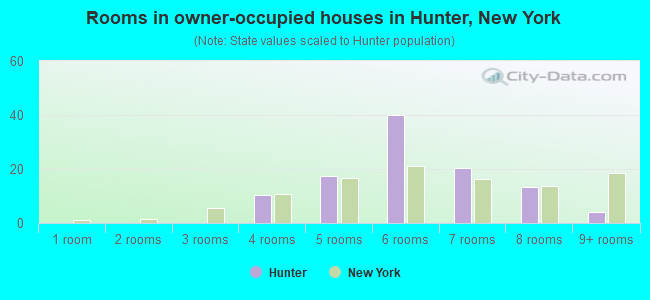 Rooms in owner-occupied houses in Hunter, New York