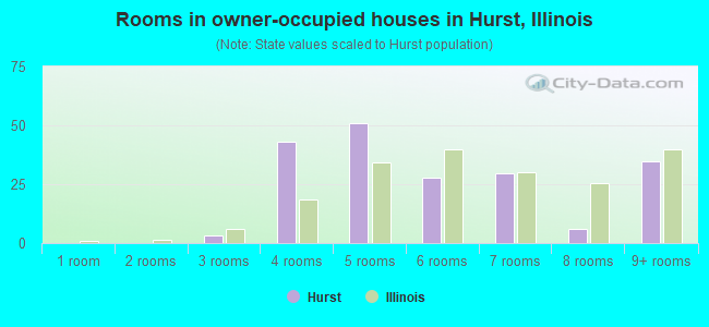Rooms in owner-occupied houses in Hurst, Illinois