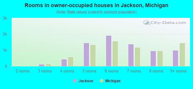 Rooms in owner-occupied houses in Jackson, Michigan