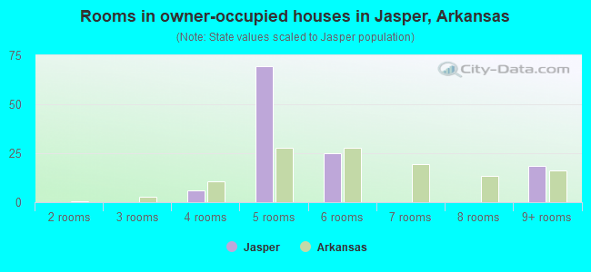 Rooms in owner-occupied houses in Jasper, Arkansas