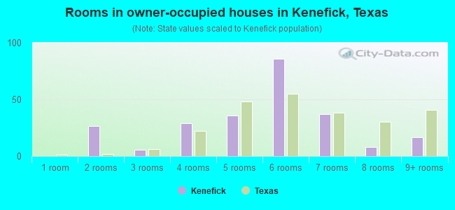 Rooms in owner-occupied houses in Kenefick, Texas