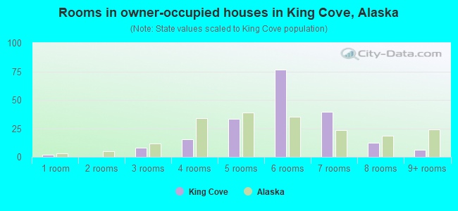 Rooms in owner-occupied houses in King Cove, Alaska