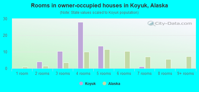 Rooms in owner-occupied houses in Koyuk, Alaska