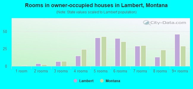 Rooms in owner-occupied houses in Lambert, Montana