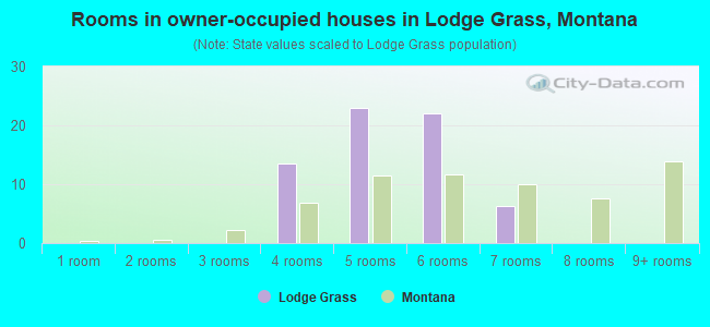 Rooms in owner-occupied houses in Lodge Grass, Montana