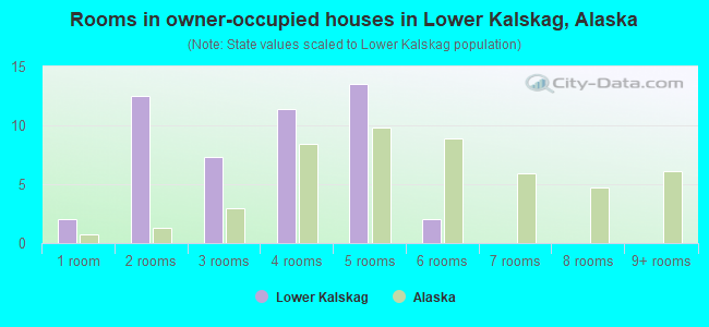 Rooms in owner-occupied houses in Lower Kalskag, Alaska