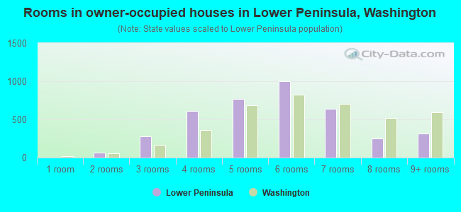 Rooms in owner-occupied houses in Lower Peninsula, Washington