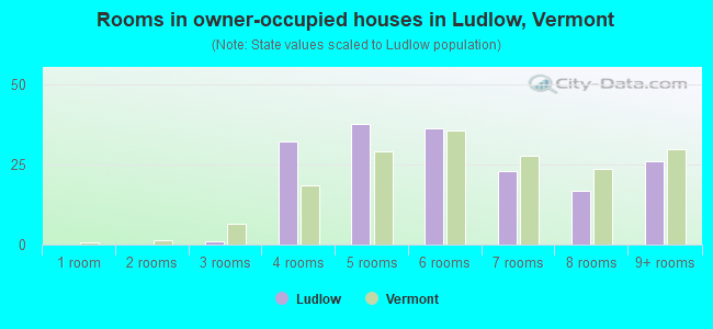 Rooms in owner-occupied houses in Ludlow, Vermont
