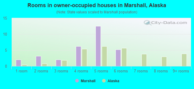 Rooms in owner-occupied houses in Marshall, Alaska