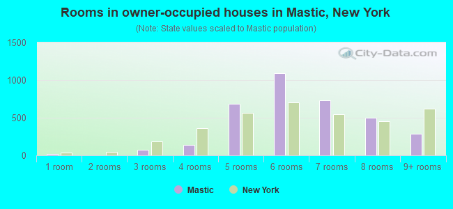 Rooms in owner-occupied houses in Mastic, New York