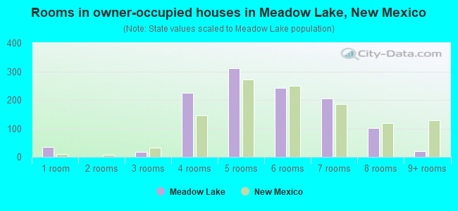 Rooms in owner-occupied houses in Meadow Lake, New Mexico