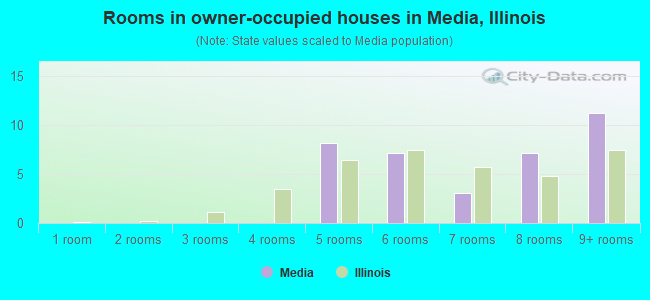Rooms in owner-occupied houses in Media, Illinois