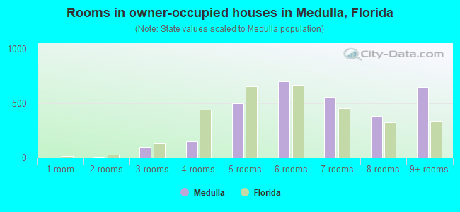 Rooms in owner-occupied houses in Medulla, Florida