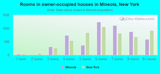 Rooms in owner-occupied houses in Mineola, New York