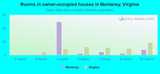 Rooms in owner-occupied houses in Monterey, Virginia