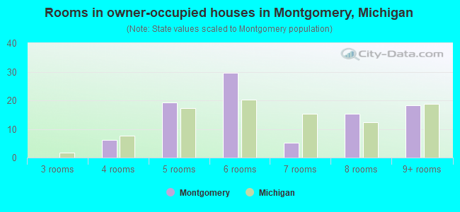 Rooms in owner-occupied houses in Montgomery, Michigan