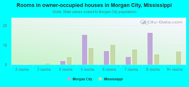 Rooms in owner-occupied houses in Morgan City, Mississippi
