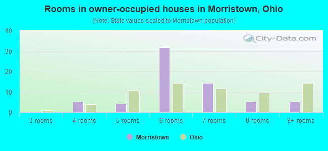Rooms in owner-occupied houses in Morristown, Ohio