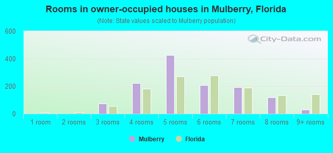 Rooms in owner-occupied houses in Mulberry, Florida