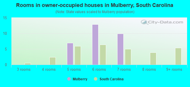 Rooms in owner-occupied houses in Mulberry, South Carolina