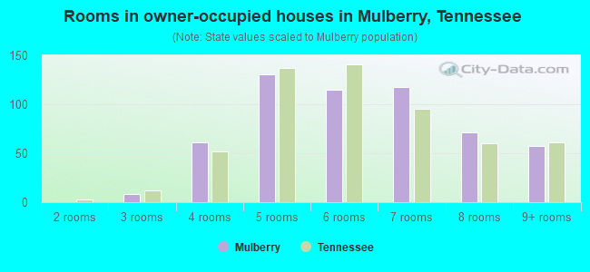 Rooms in owner-occupied houses in Mulberry, Tennessee