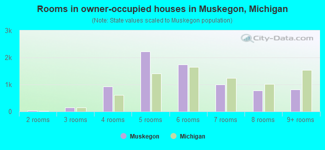 Rooms in owner-occupied houses in Muskegon, Michigan