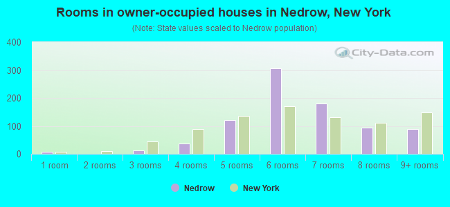 Rooms in owner-occupied houses in Nedrow, New York