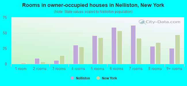 Rooms in owner-occupied houses in Nelliston, New York