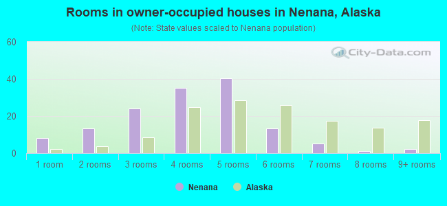 Rooms in owner-occupied houses in Nenana, Alaska